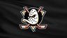 Anaheim Ducks