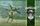 Austin Gamblers