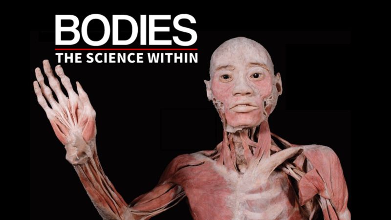 Bodies - The Science Within
