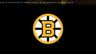 Boston Bruins