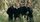 Cane Hill