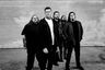 Carnifex