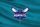 Charlotte Hornets