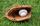 Charlotte Knights