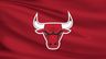 Chicago Bulls