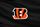 Cincinnati Bengals