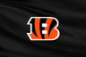 Cincinnati Bengals