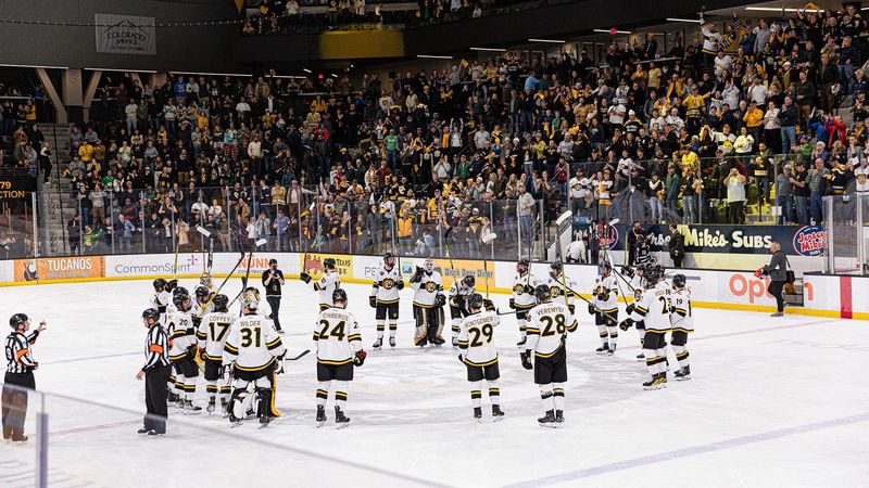 Colorado College Tigers Hockey