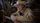 Corb Lund