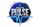 Dallas Pulse Volleyball
