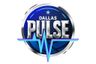 Dallas Pulse Volleyball