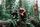 Emancipator