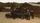 Fuerza Regida