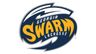 Georgia Swarm