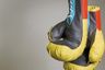 Golden Gloves Boxing