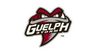 Guelph Storm