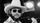 Hank Williams Jr.