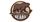 Hershey Bears