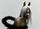 horsegiirL