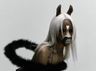 horsegiirL