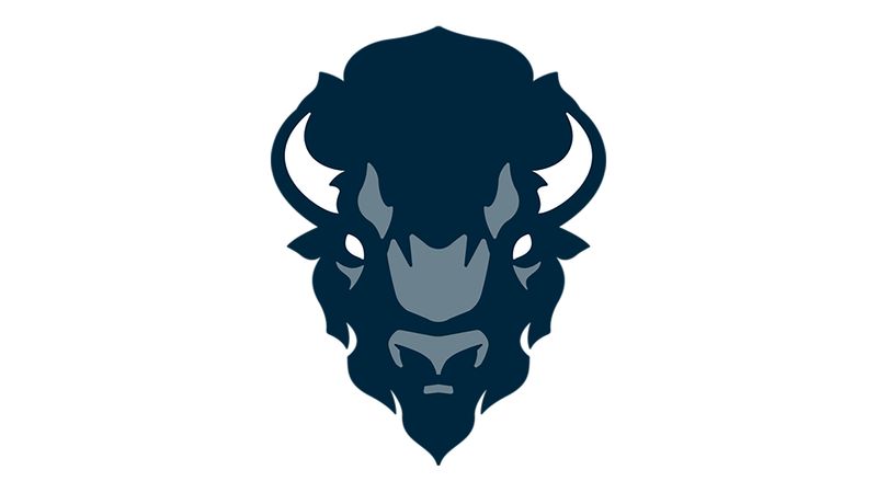 Howard University Bison Football