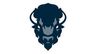 Howard University Bison Football