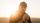 Jason Ross