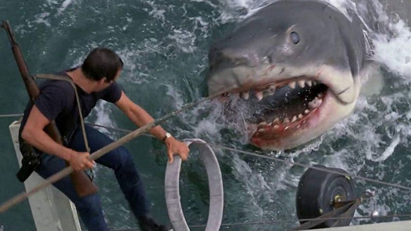 Jaws
