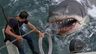 Jaws