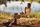 Leon Bridges