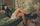 Lily Allen