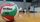 Long Island University Sharks Women's Volleyball