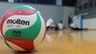 Long Island University Sharks Women's Volleyball