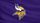 Minnesota Vikings
