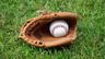 Asheville Tourists