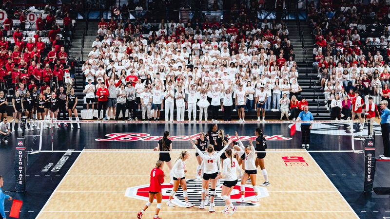 Ohio State Buckeyes Women's Volleyball