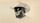 Orville Peck