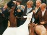 PET SOUNDS - Tribute To The Beach Boys