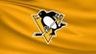 Pittsburgh Penguins