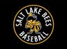 Salt Lake Bees