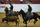 San Antonio Stock Show & Rodeo Qualifier