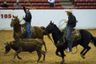 San Antonio Stock Show & Rodeo Qualifier