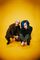 Slothrust