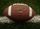 South Dakota State Jackrabbit Football