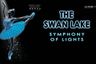 Swan Lake - Symphony of Lights