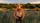 Tanya Tucker
