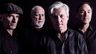 Toadies