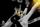 UCF Knights Volleyball