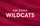 University of Arizona Wildcats Women's Volleyball