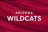 University of Arizona Wildcats Women's Volleyball